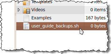 File di script della shell rinominato