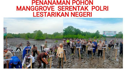 Polres langsa bersama Forkopimda Melakukan Penanaman Mangrove Secara Serentak di Seluruh Indonesia