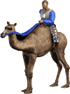 파일:external/www.standril.freeserve.co.uk/camel.gif