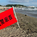 at Yuigahama Beach in Kamakura, Japan in Kamakura, Japan 