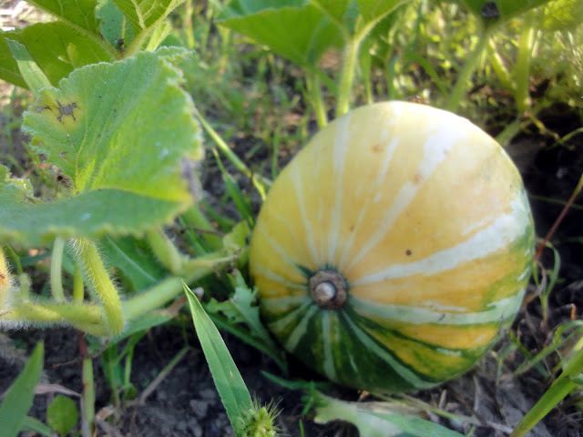 one day в кадрах