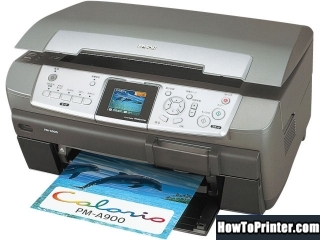 Reset Epson PM-A900 printer with Epson resetter