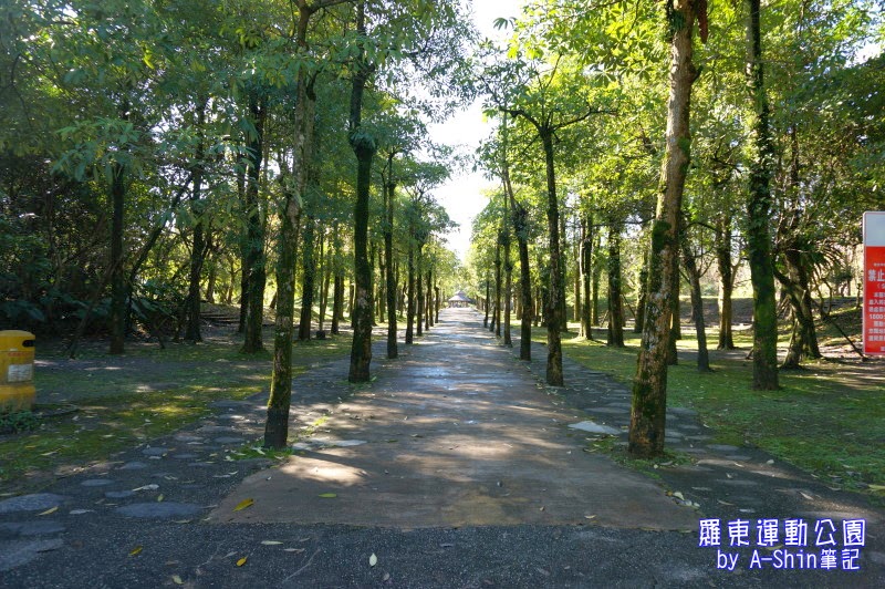 羅東運動公園|跟著阿新來羅動運動公園散步囉！對了，羅動運動公園超大..