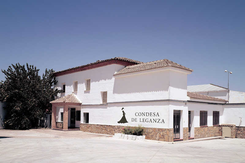 Main image of Bodegas Leganza SA