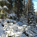 Sudden Winter during Easter. DSC_2153.JPG