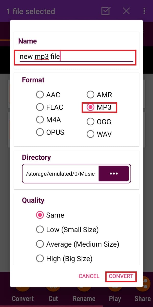 Hernoem het nieuwe audiobestand en tik op Converteren om het conversieproces te starten