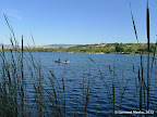 Boating in Shadow Cliffs Lake