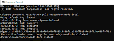 Download dynamo DB docker image