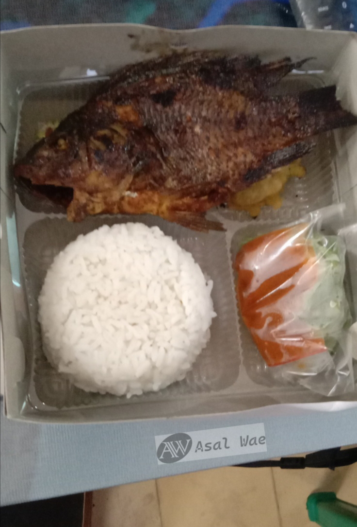 Nasi Kotak