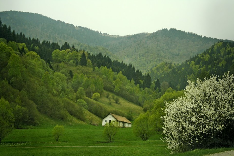 Trlenska dolina