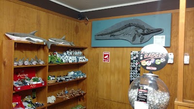 Photos of EcoWorld Aquarium & Wildlife Rehabilitation Centre