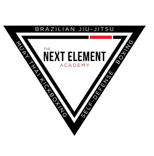 The Next Element Academy logo