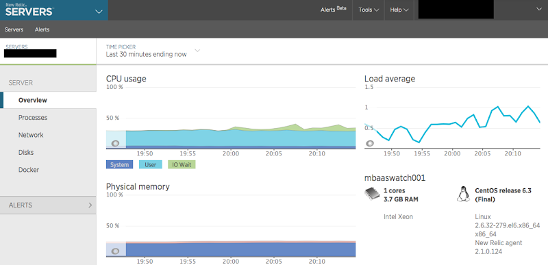 newrelic_detail_metric.png