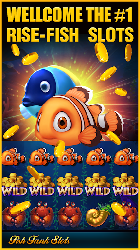 Fish Tank Slots w Amazon gift