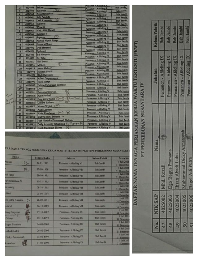 Daftar PKWT dari 7 Afdeling Kebun Bah Jambi,Tergiling Upaya Manipulasi Pihak Mangement Kebun Bah Jambi