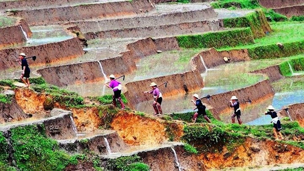 Bac Son  De long nguoi cung han hoan trong nhung niem vui mua moi 