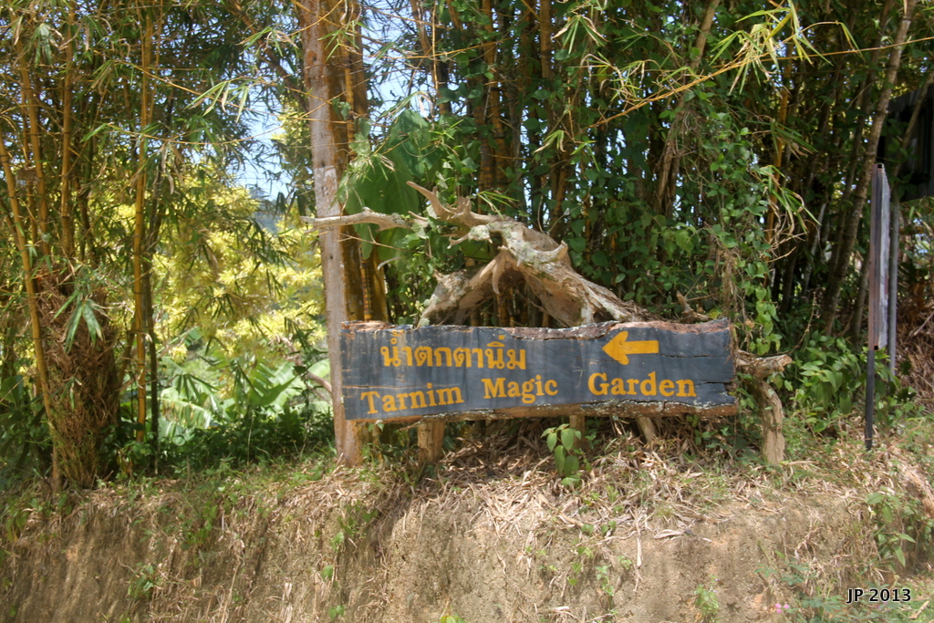 Back%2520%2520roads%2520Samui%2520%2520M