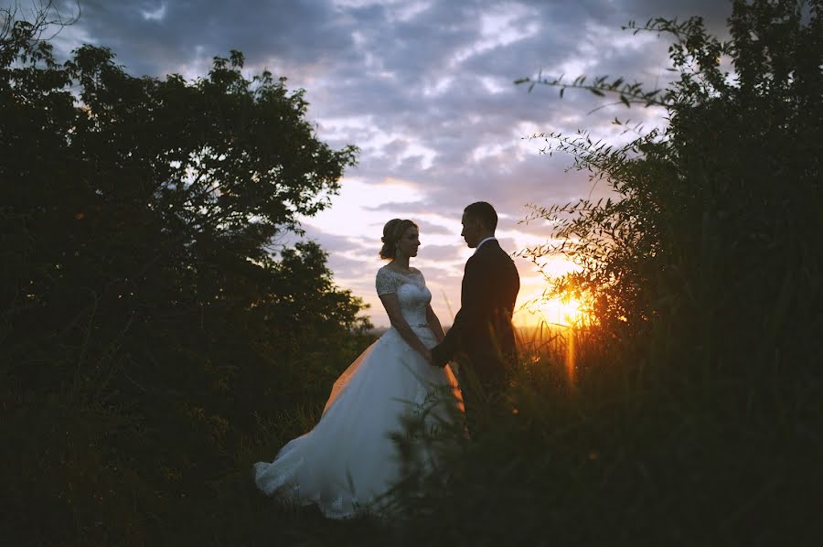 Photographe de mariage Igor Shevchenko (wedlifer). Photo du 20 juillet 2016