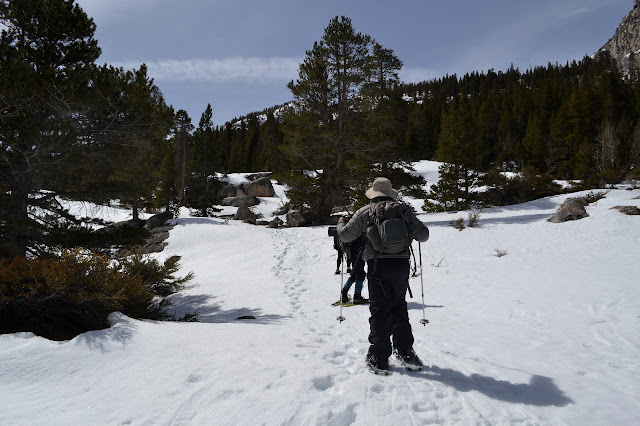 following the tracks in the snow