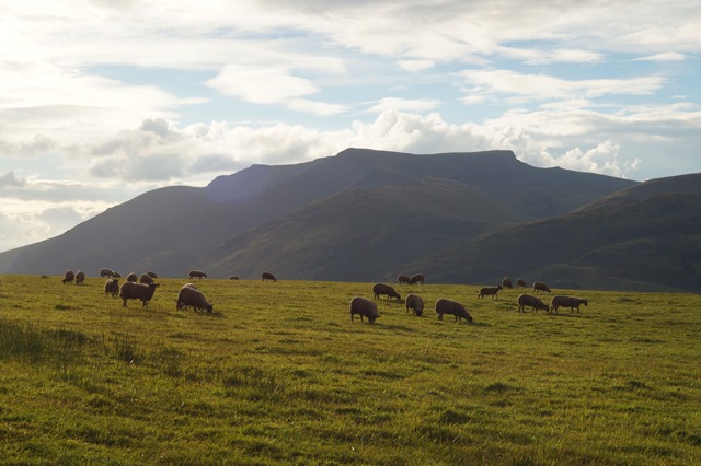 Evening walks in the Lake District