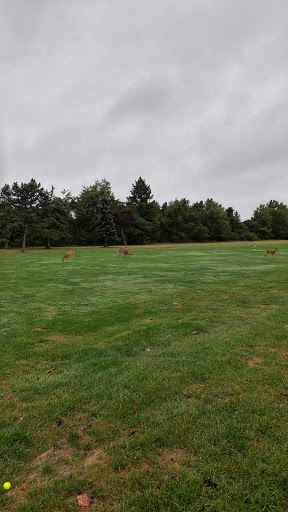 Golf Course «Mountain View Golf Course», reviews and photos, 850 Bear Tavern Rd, Ewing Township, NJ 08628, USA