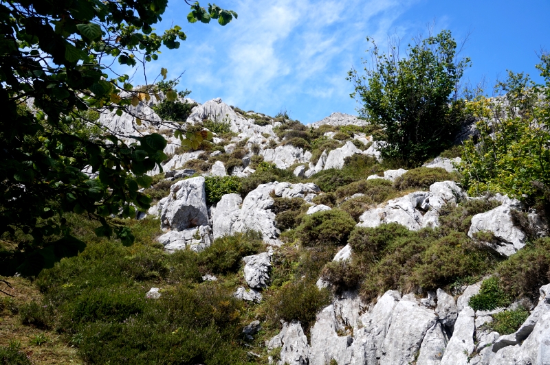 La Siella y Barzanalga (PN Ubiñas-La Mesa) - Descubriendo Asturias (46)