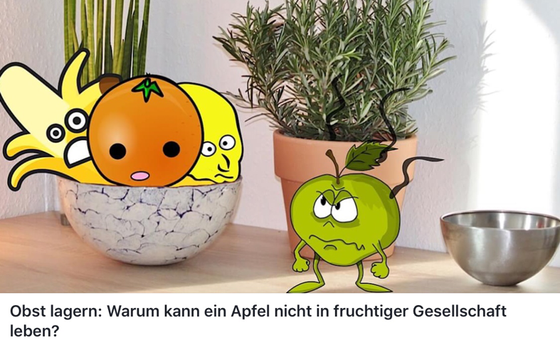 Apfel lässt Obst faulen