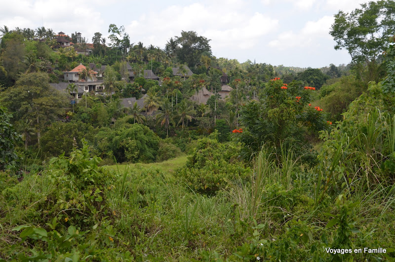 Campuhan ridge