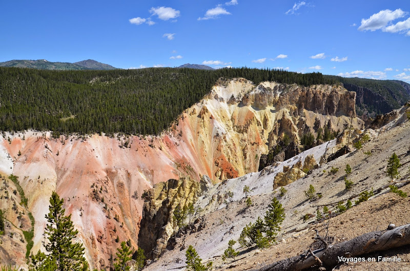 yellowstone canyon