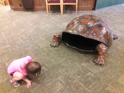 Nature Preserve «Rocky River Nature Center», reviews and photos, 24000 Valley Pkwy, North Olmsted, OH 44070, USA