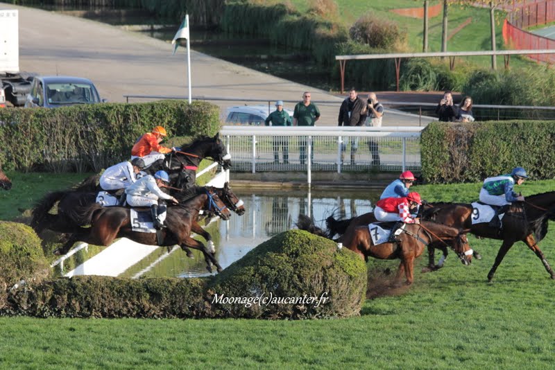 Photos Auteuil 8-11-2015 (48h de l'obstacle) - Page 2 IMG_7178