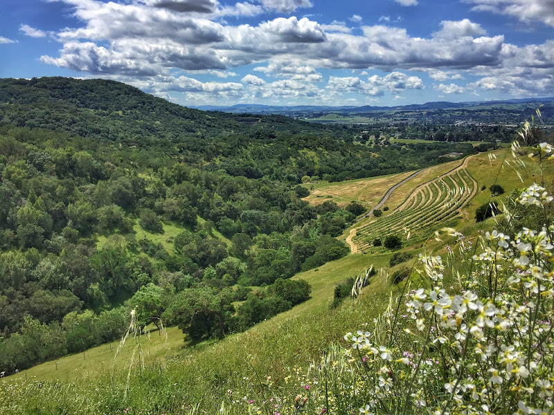 Main image of Caldwell Vineyard Winery