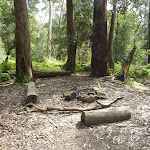 Small campsite beside the Federal Pass (312245)