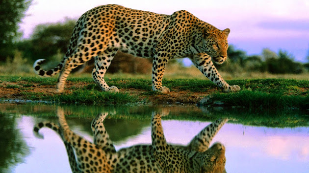 <<<Reflejos del mundo>>> - Página 8 3d7f92a4-54fb-4bbe-bfe9-6e8ed55b0cea