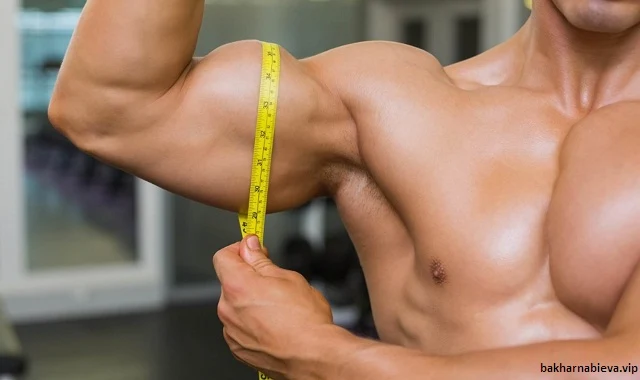 Tips to Build Bigger Biceps