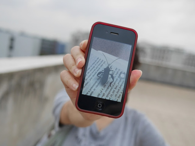 iPhone displaying a photo of a bug walking across English text