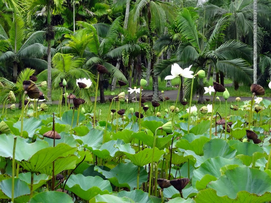 Costa neoRomantica: Сингапур,Малайзия,Таиланд, Шри-Ланка, Индия, Мальдивы,Сейшелы,Маврикий