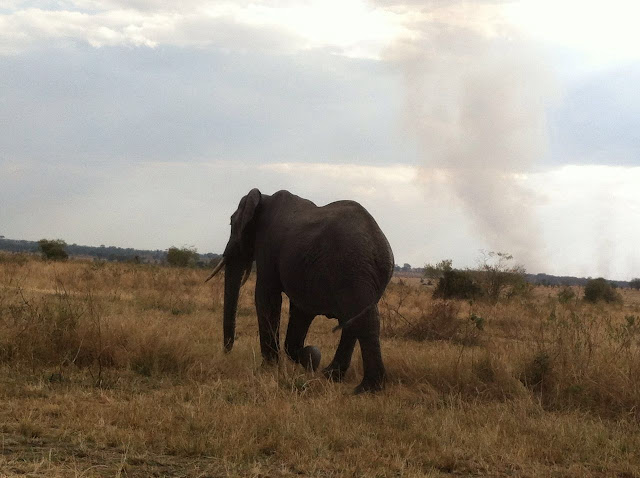 Serengeti National Park