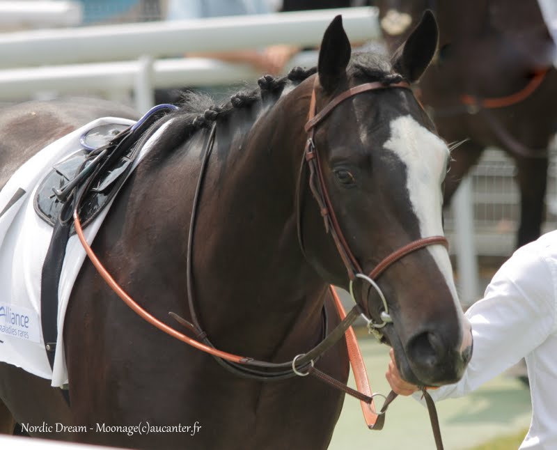 Photos Maisons-Laffitte 5-07-2015 IMG_2121