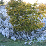 Fotos de Travesía Cordiñanes – Caín (pola Canal de Culiembro). Outubro 2006.