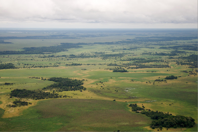 Megabestias Beni_Department_aérea_25