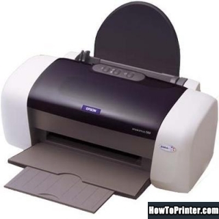 Reset Epson CX3300 printer with Epson Waste Ink Pad Counters resetter