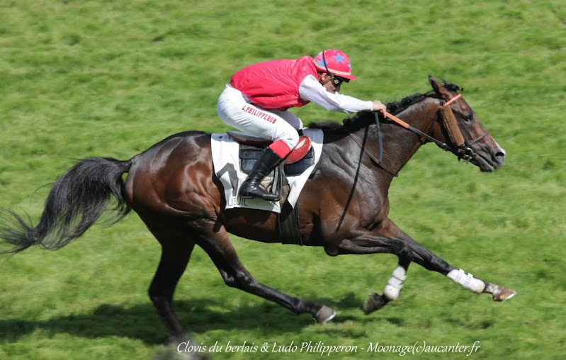 Photos Auteuil 7-06-2015 Journée Grande Course de Haies - Page 3 IMG_1743