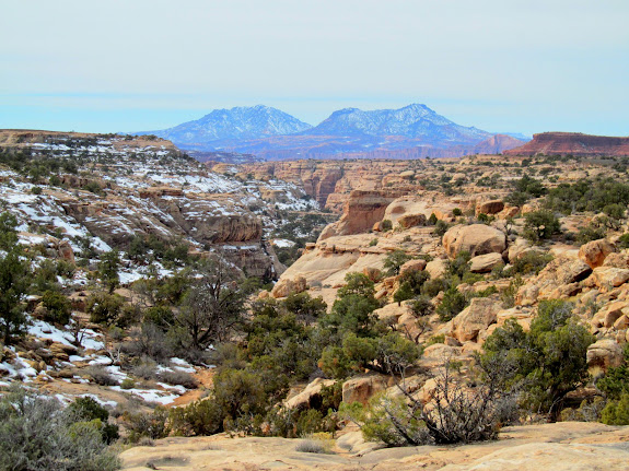 Side canyon and Little Rockies