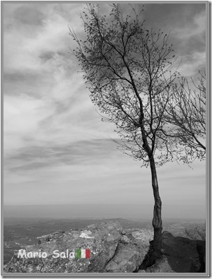 SM_CEL_ROCCA_10BW