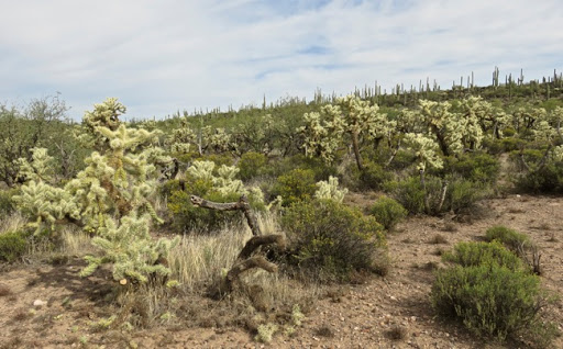 HikingBlackMesa%252526DutchmansTrail-16-2015-10-26-19-26.jpg