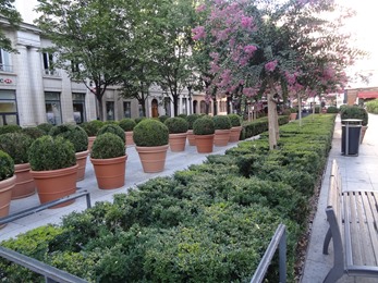 2018.08.21-074 place de la Bourse