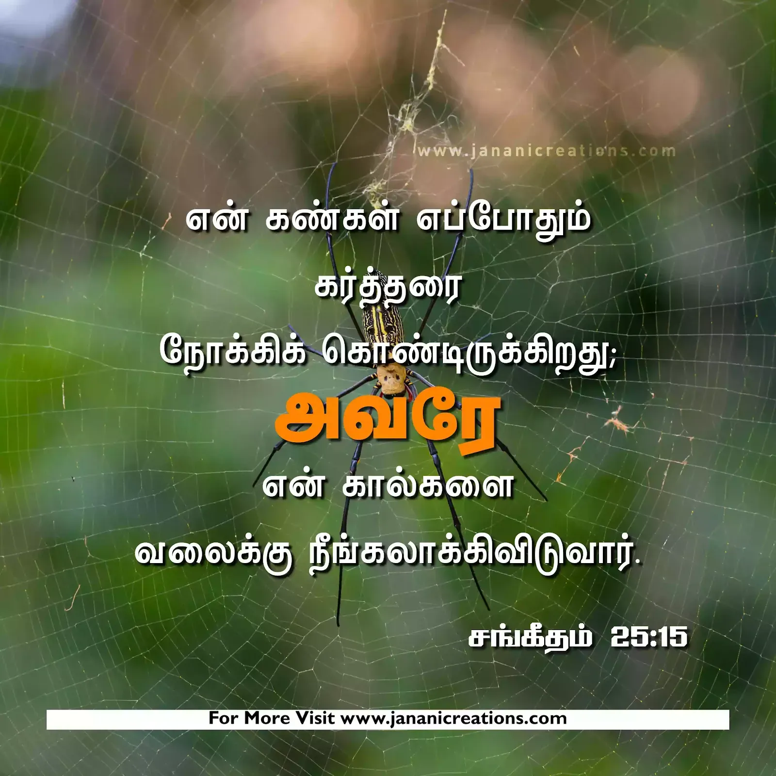 bible verses in tamil