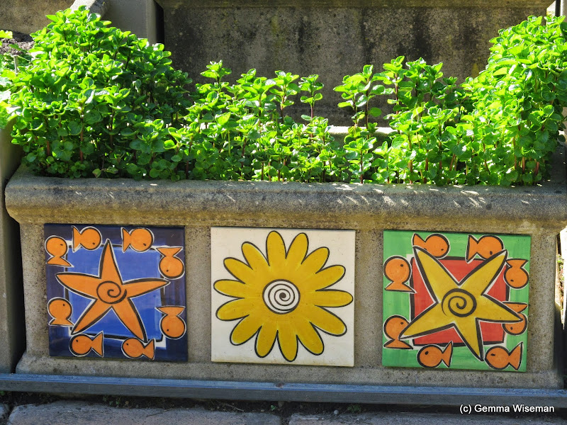 MORNINGTON PENINSULA DAILY planter box art...