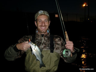 david with striper